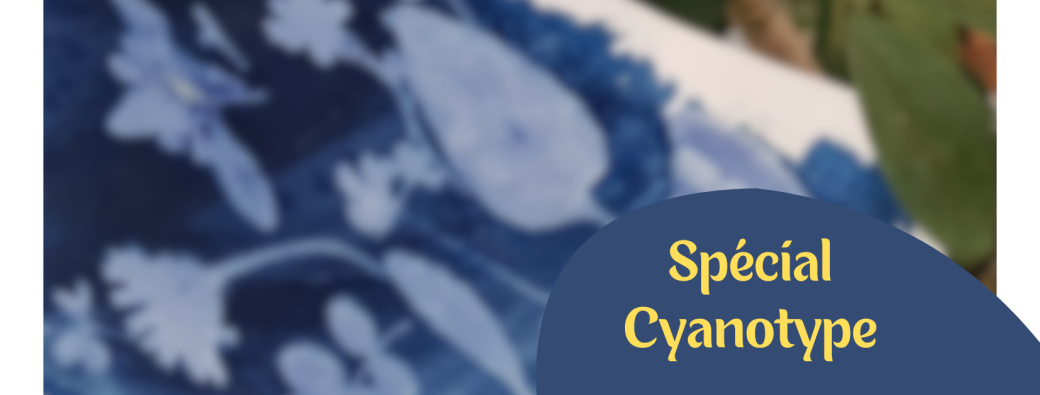 Groupe d'art-thérapie Spécial cyanotype