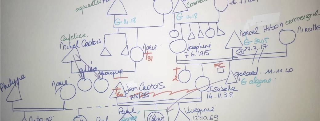 GROUPE DE TRAVAIL EN PSYCHOGENEALOGIE - 1 SESSION DE 7 ATELIERS