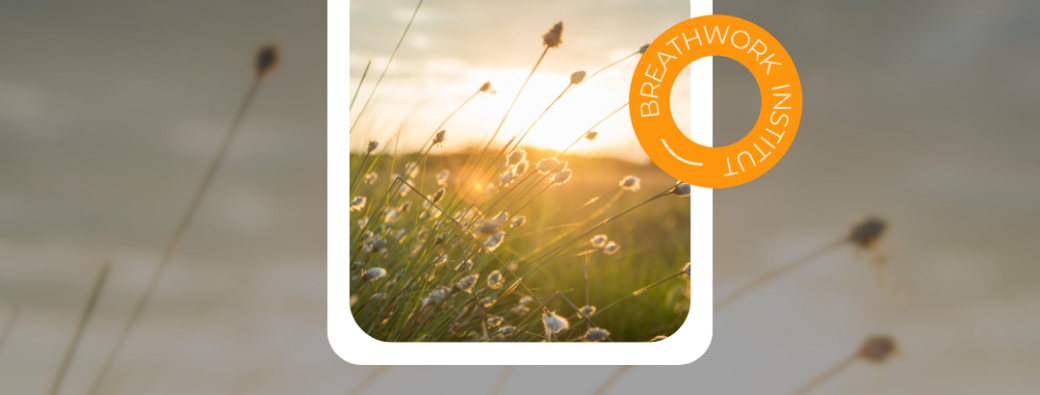 Groupe fermé Breathwork 2025/2026