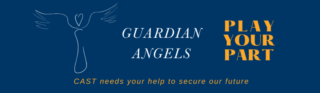 Play Your Part: Guardian Angels