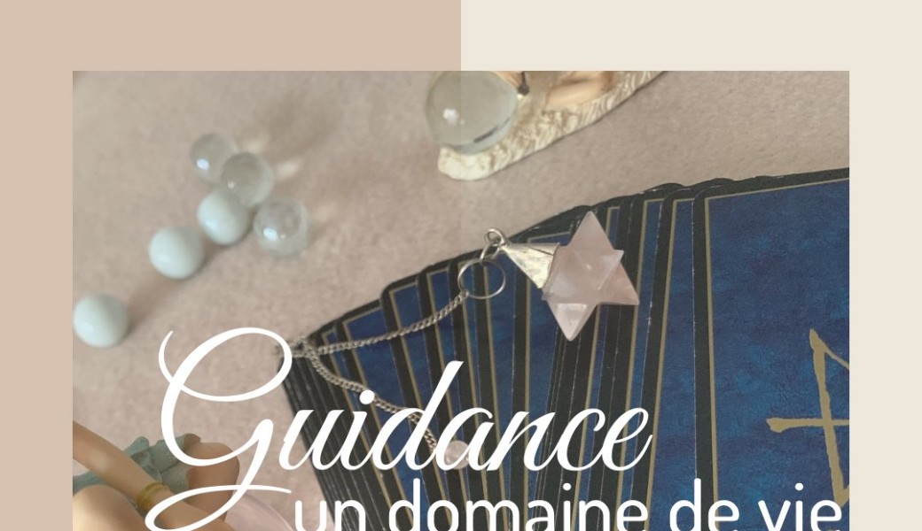 Guidance 1 domaine de vie 