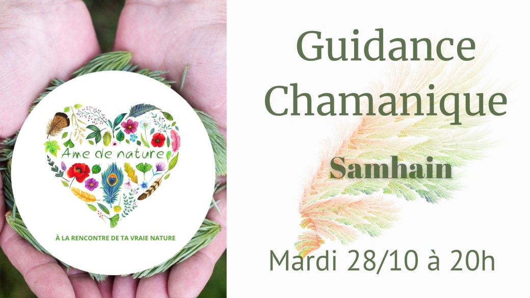 Guidance Chamanique - Samhain