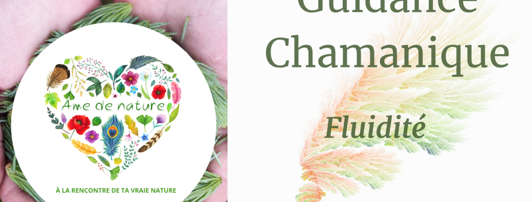 Guidance Chamanique - Fluidité