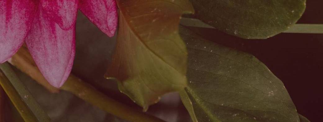 guidance flash (pour les RDV pris sur instagram)