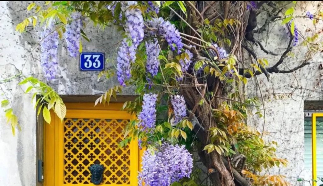 Discover Paris Like a Local: Secret Streets, Hidden Gardens, French Wine & Cheese Tasting