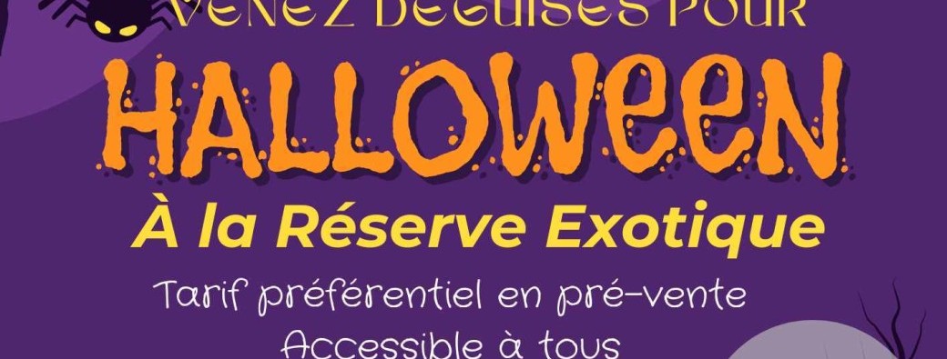 Halloween 2024