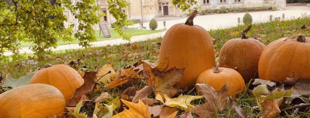 Halloween au Château 2026