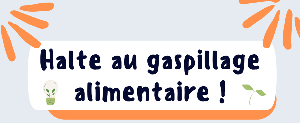 Halte au gaspillage alimentaire - Groupe B