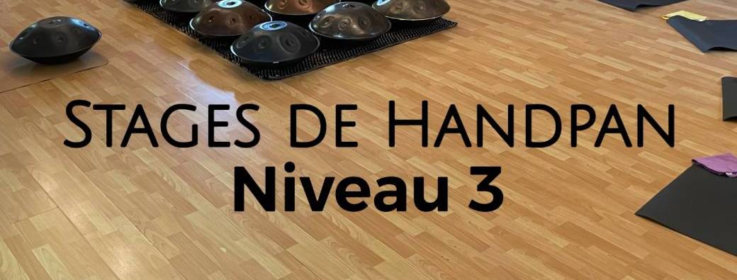 Stage de Handpan Niveau 3 | Février