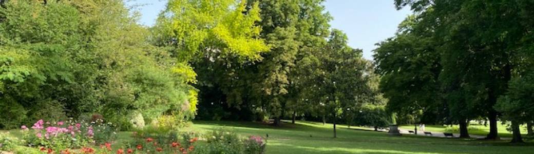 Hatha Yoga au Parc Montsouris