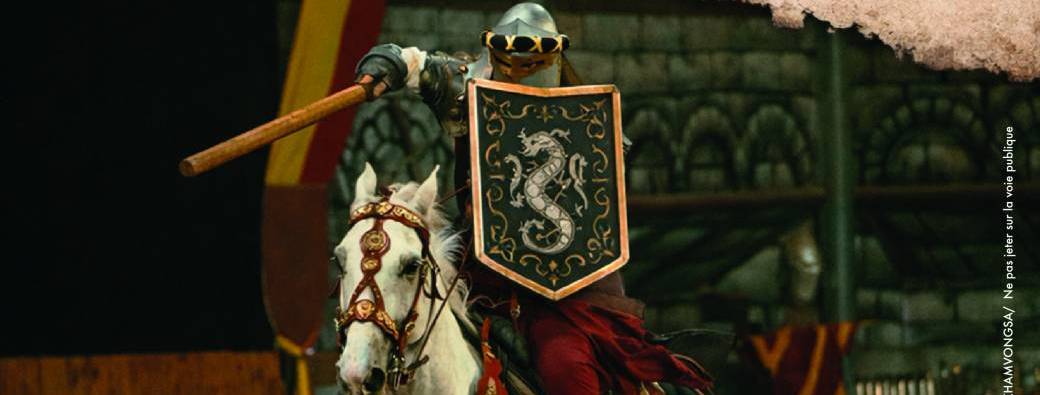 Haut - Royaume : L'héritier perdu