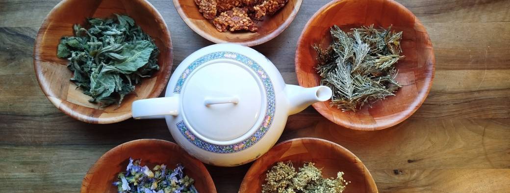 Herboristerie familiale : tisanes et alccolatures, les bases, et confort respiratoire