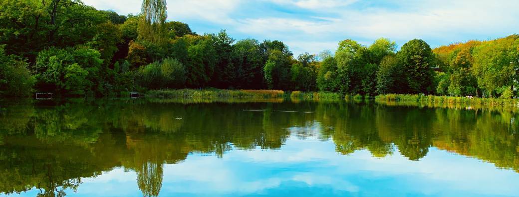 Hike, Learn, and Explore: An Ecological Tour in Forêt de Meudon & Bois de Clamart