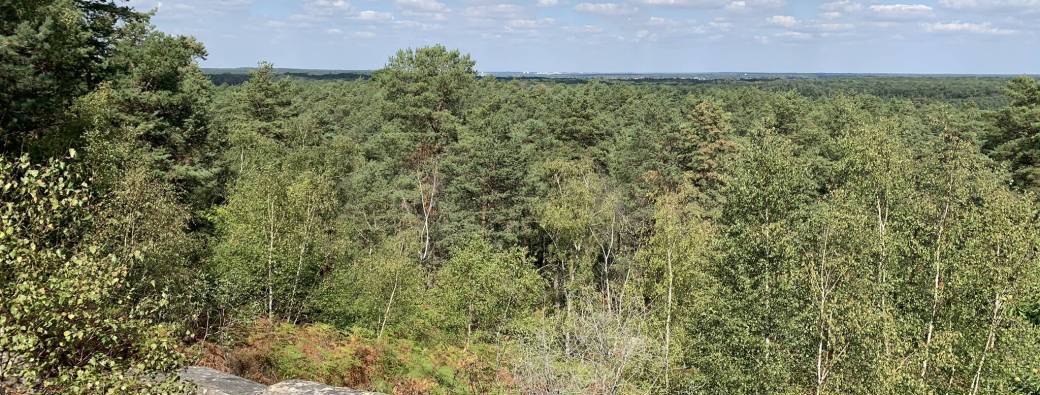 Hiking Tour in Forêt de Fontainebleau
