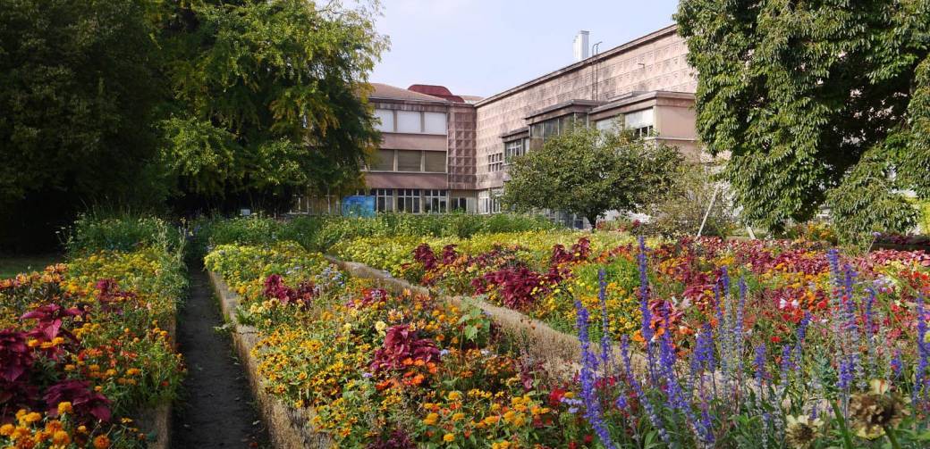 Histoire de musées. Des plantes aux poissons, l'histoire du Museum Aquarium