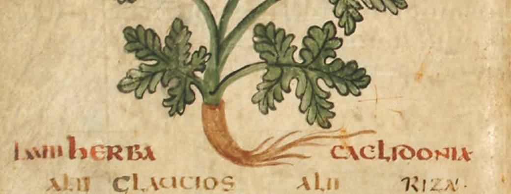 Histoire(s) de Nature : Perspectives textuelles et visuelles