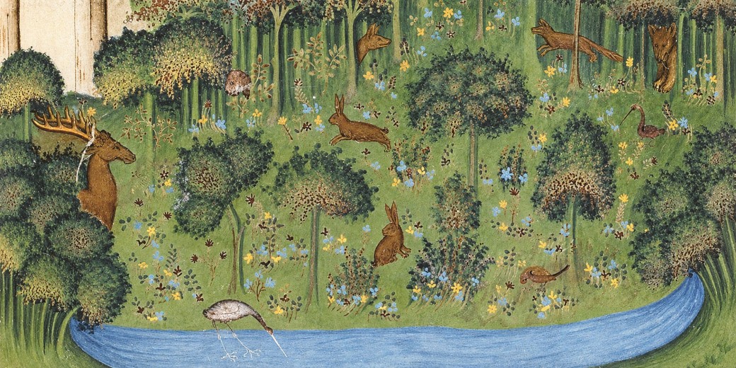 Histoire(s) de Nature 