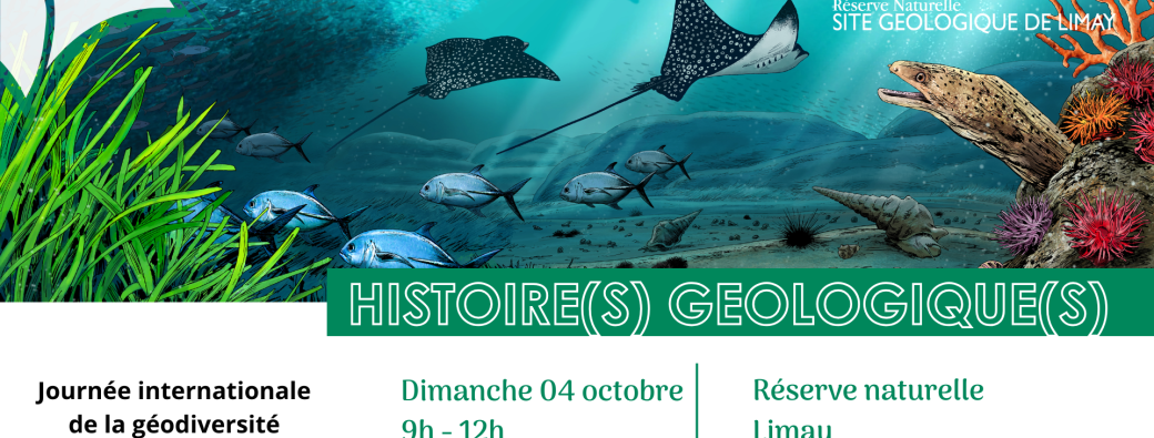 Histoire(s) géologique(s)