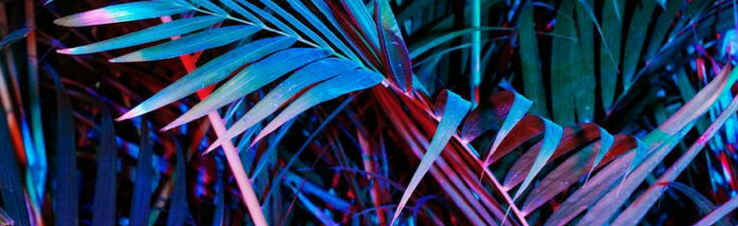 Holographic Sound Presents: TROPICAL VACATION