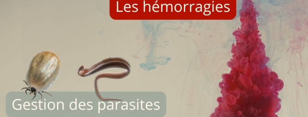 Symptômes et homéopathie