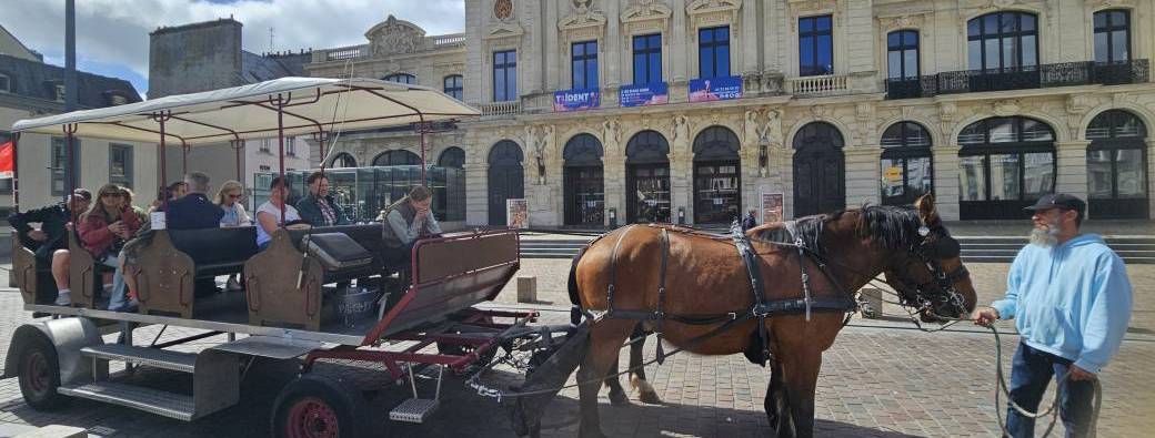 Horse drawn carriage in Cherbourg