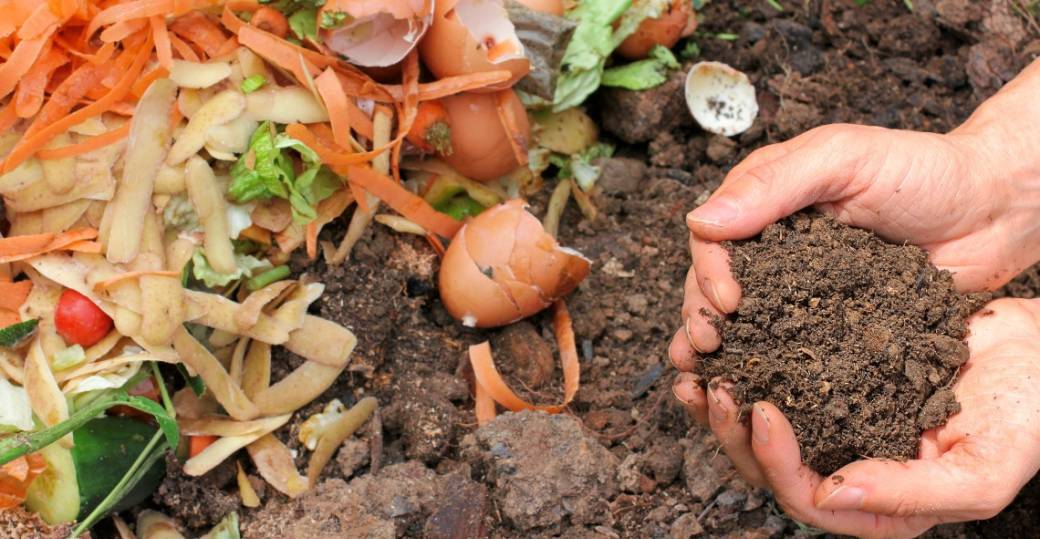 Je découvre le parcours des fruits et légumes de la terre au compost