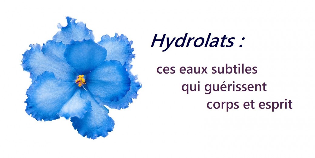 Hydrolats : ces eaux subtiles qui guérissent corps et esprit