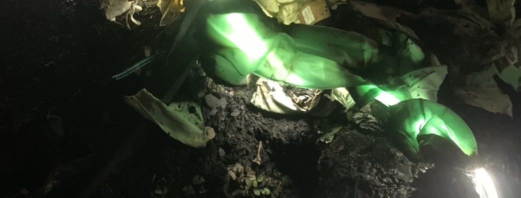 Ici Prochainement - To Noclip Out Of Reality