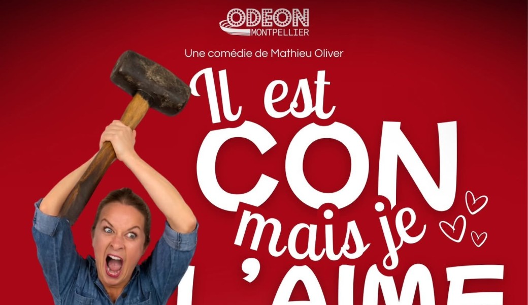 Il est con mais je l'aime