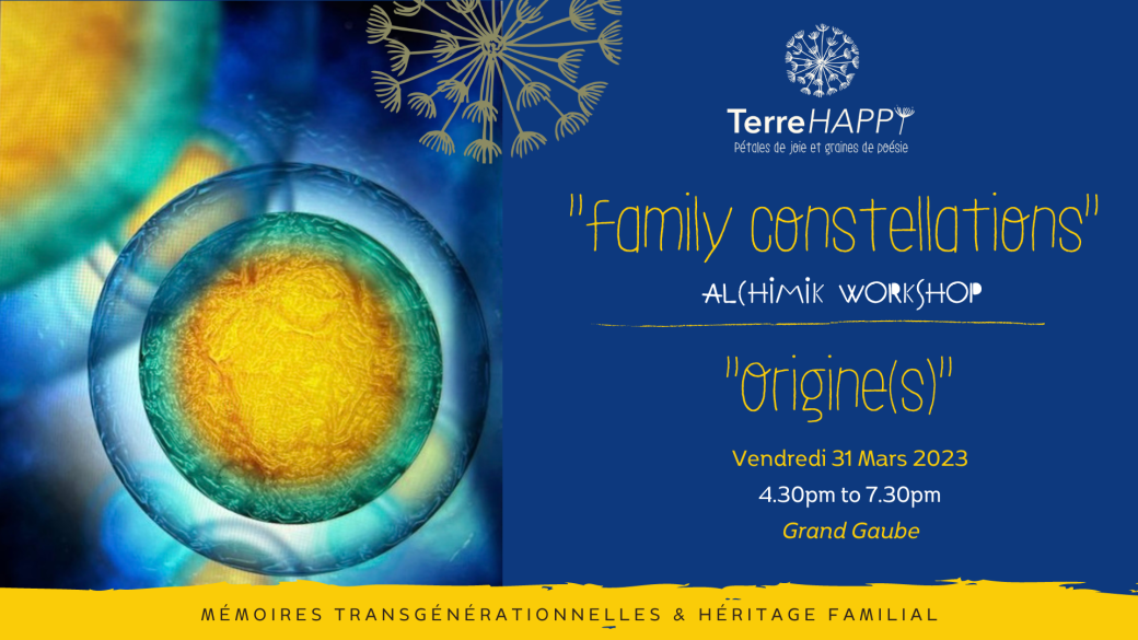 Ile Maurice evening Workshop - Family Constellations