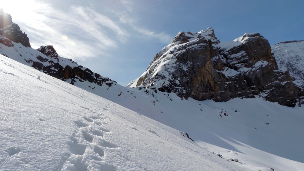 Immersion au coeur de l'hiver en Vallée d'Ossau (64)