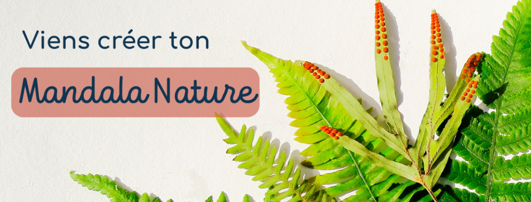 Immersion créative en nature
