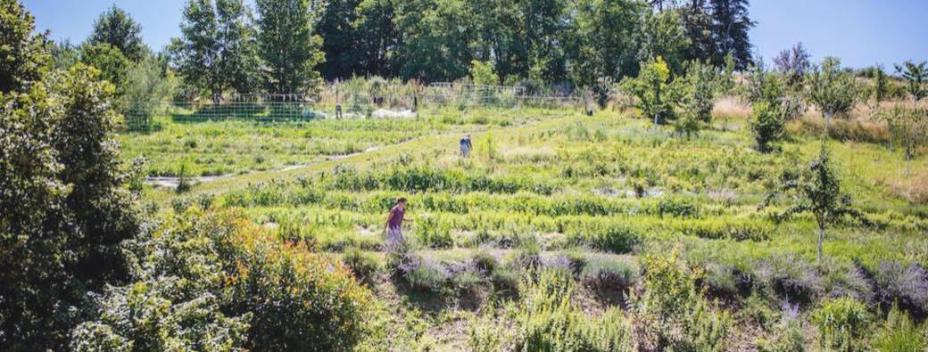 Immersion dans la vie d'un jardinier permacole sur une journée