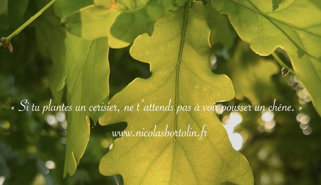 Immersion en Nature