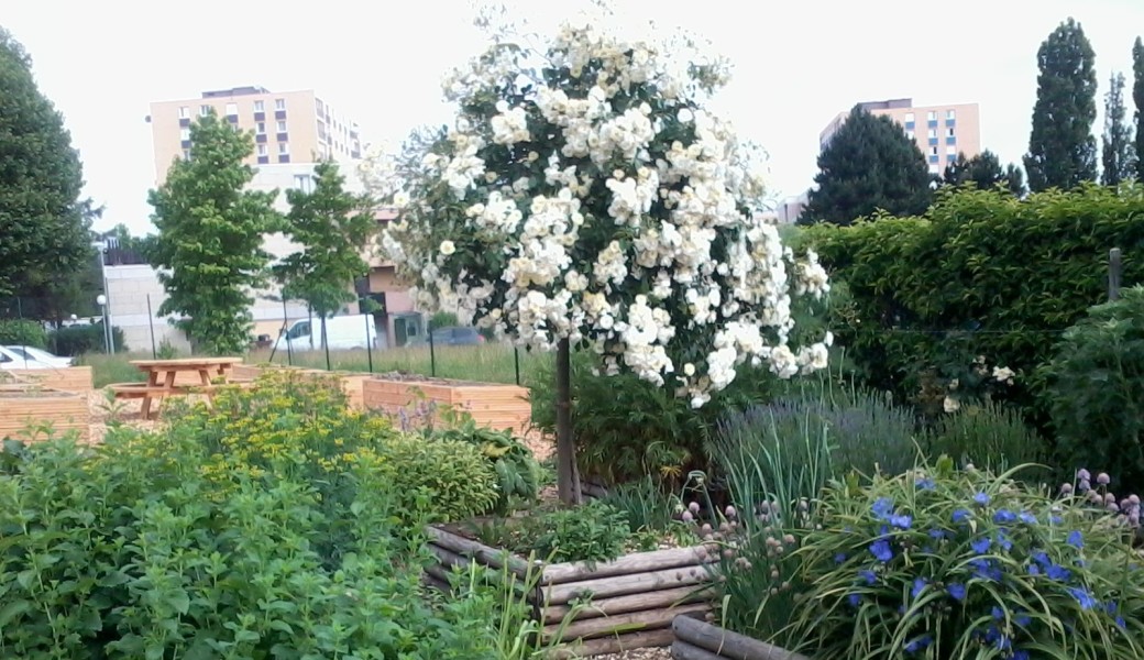 Immersion sensorielle au jardin