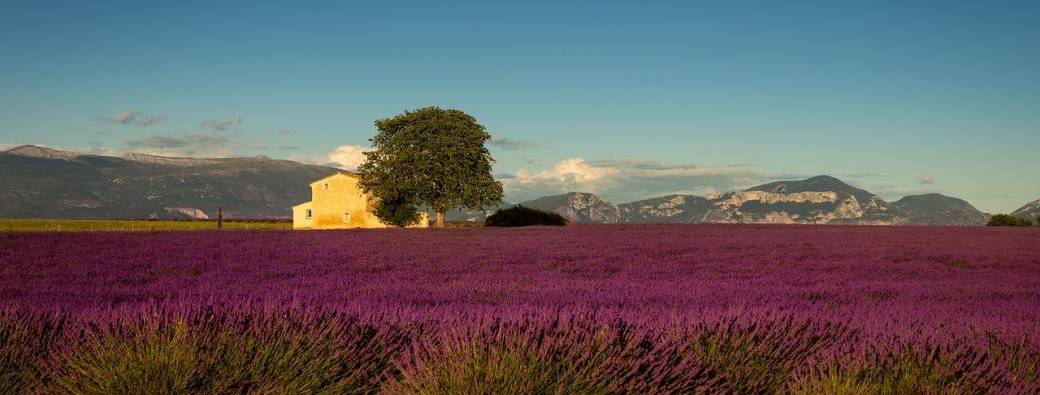 Immersion transformative au coeur de la Provence