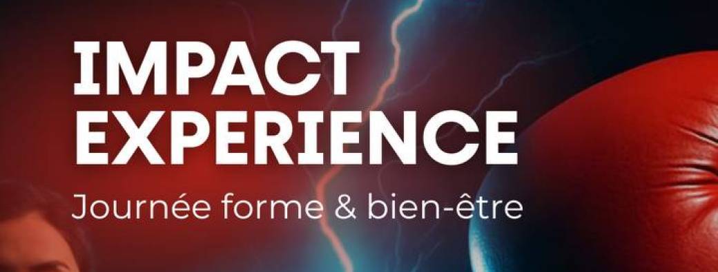 IMPACT EXPERIENCE