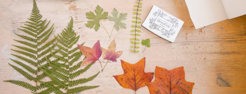 Impressions végétales