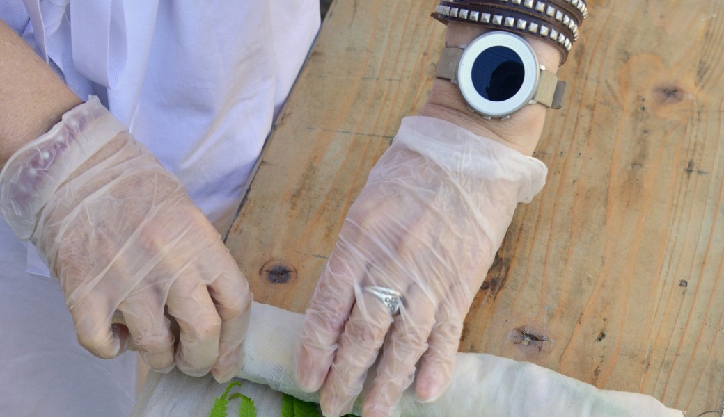 Impressions végétales 