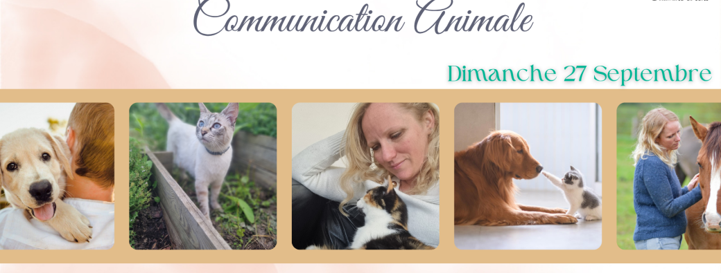 Initiation à la communication animale