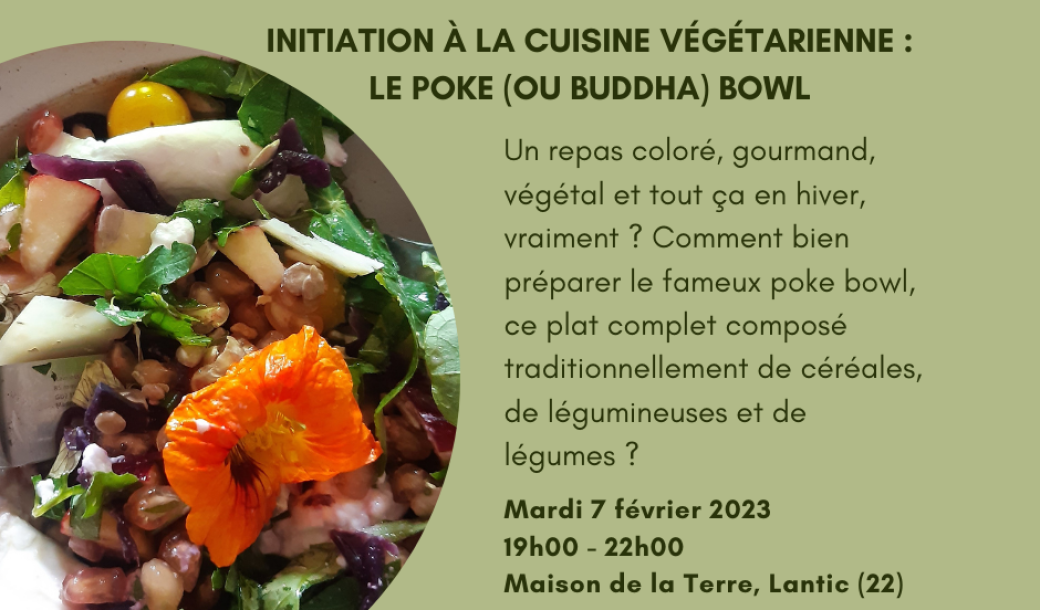 Initiation à la cuisine végétarienne : le Buddha Bowl