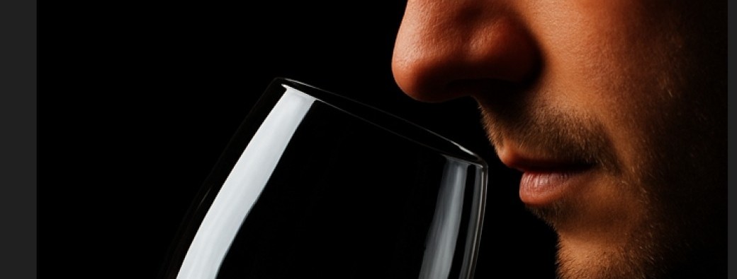 Initiation à la dégustation du vin - Dock du Vin Mérignac 