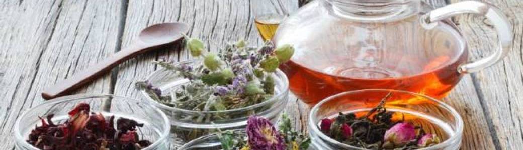 Initiation à la naturopathie - A la carte
