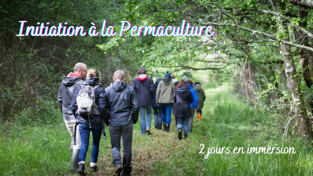 Initiation à la permaculture