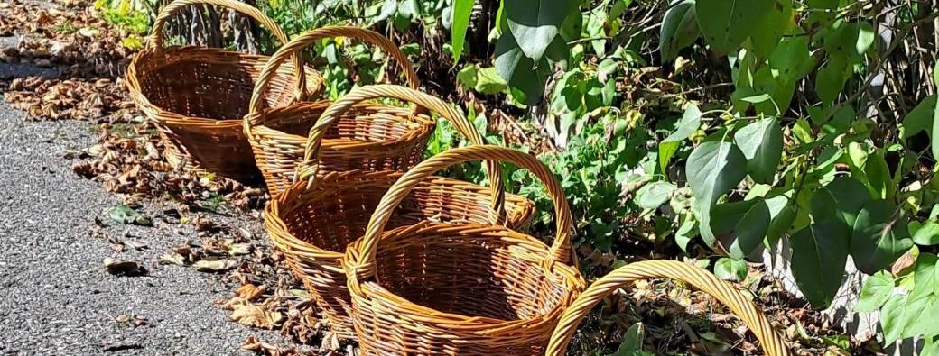 Initiation à la vannerie panier rond