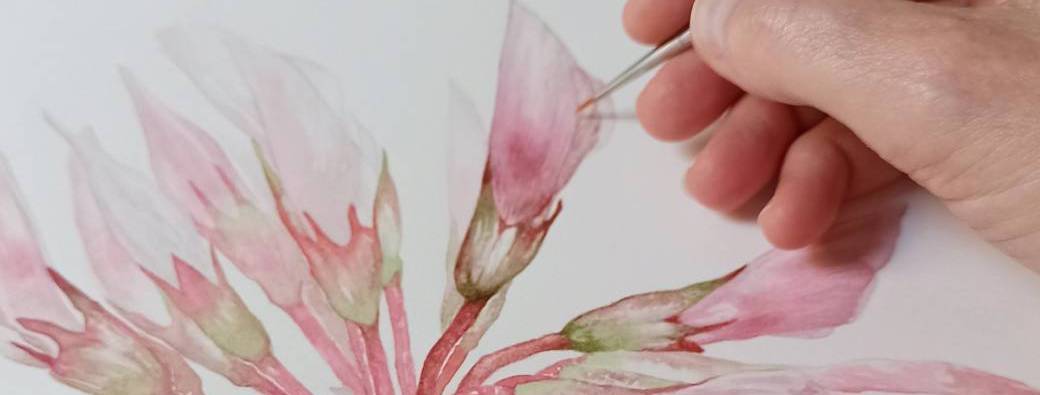 Initiation à l'aquarelle