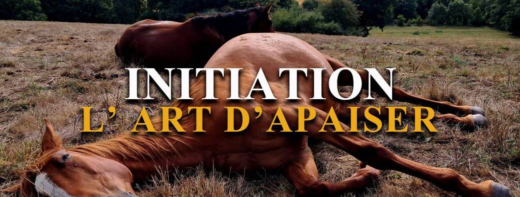 Initiation à L'Art d'Apaiser le Cheval - Julien Onfray