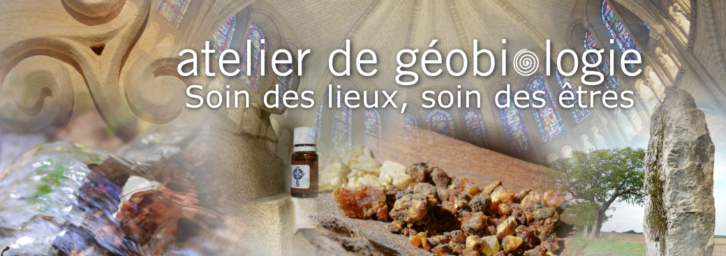 Atelier n°2 - Initiation nettoyage et harmonisation d'un lieu