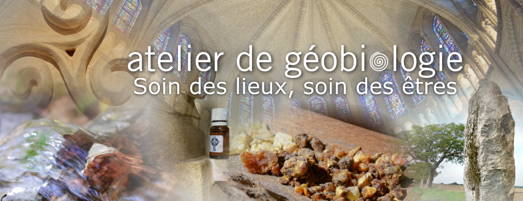 Atelier n°3 - Initiation à la correction tellurique d'un lieu