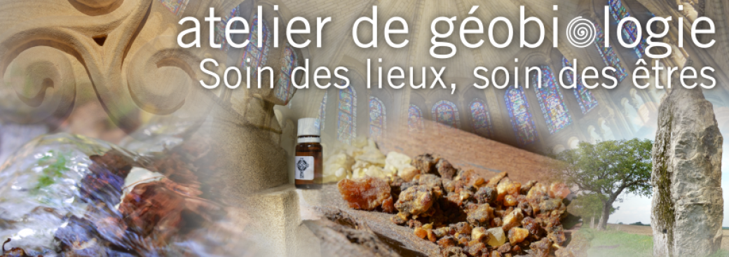 Atelier n°3 - Initiation à la correction tellurique d'un lieu